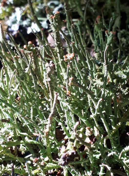 20221005_145509.jpg