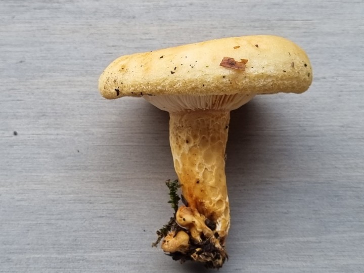 20220930_161437.jpg