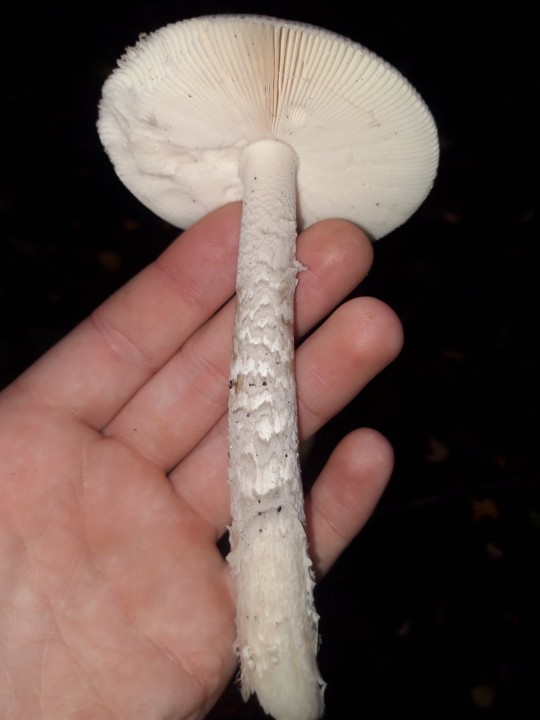 20221015_103914.jpg