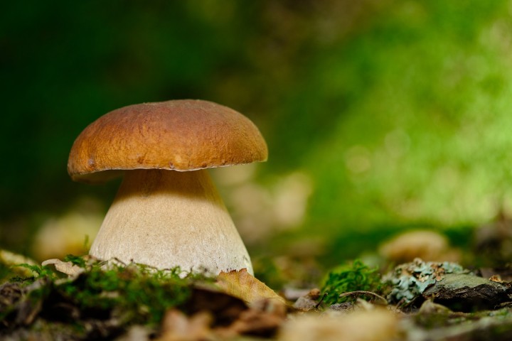 DSCF4609 5.jpg