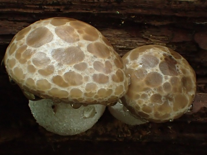 PA120420.jpg