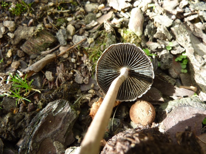 P1120803.JPG
