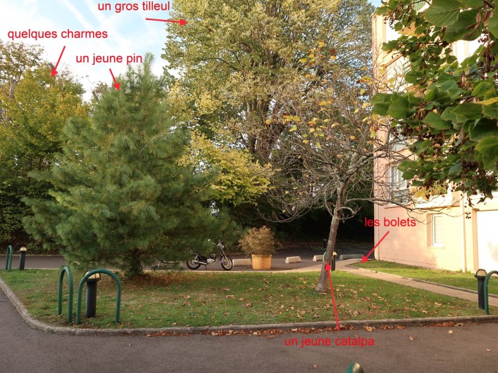 habitat avec flèches.jpg
