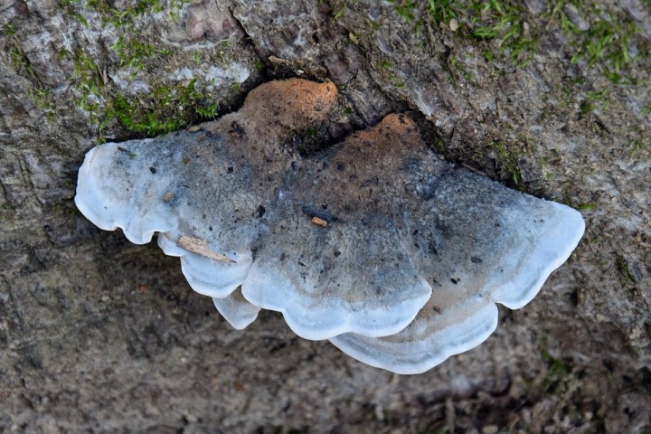 DSC_2223.jpg