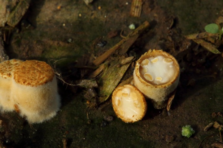 4X6A3095_1.JPG