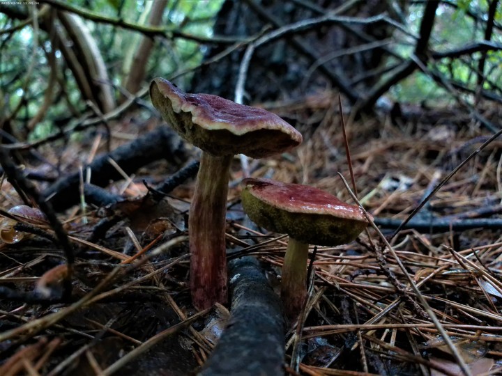 ANMP0045.jpg