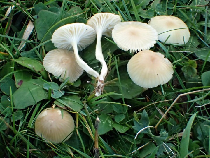 PB070140.JPG