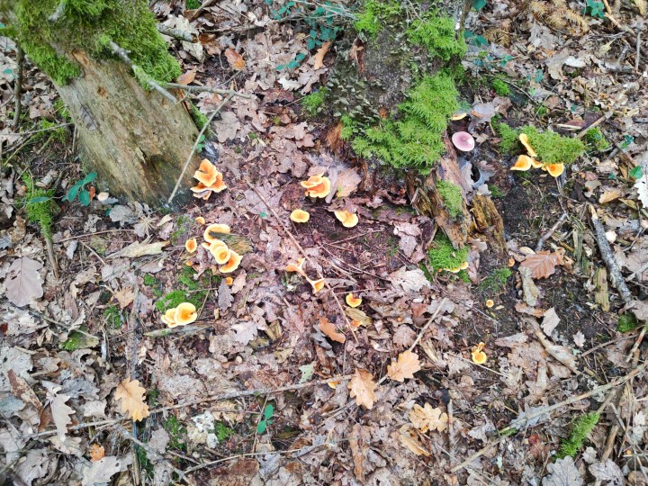 IMG20221008131807.jpg