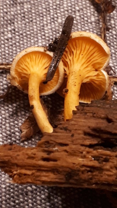 20221119_184249.jpg