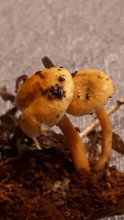 20221119_184117.jpg