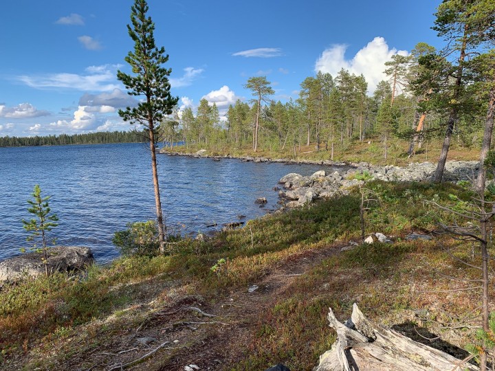 paysage.jpg