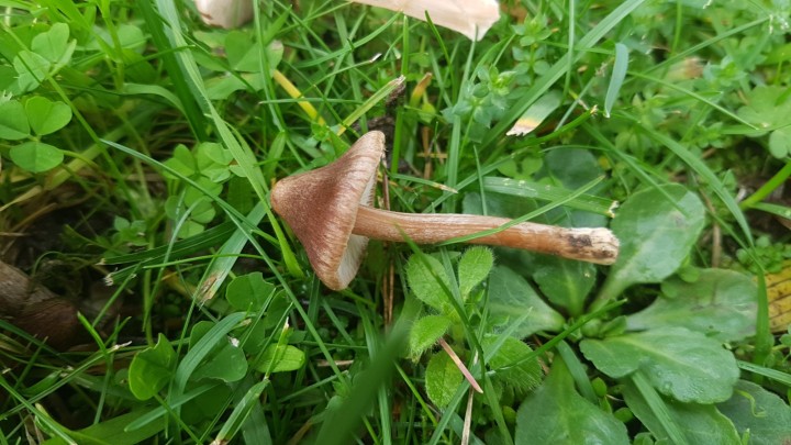 20221123_103539.jpg