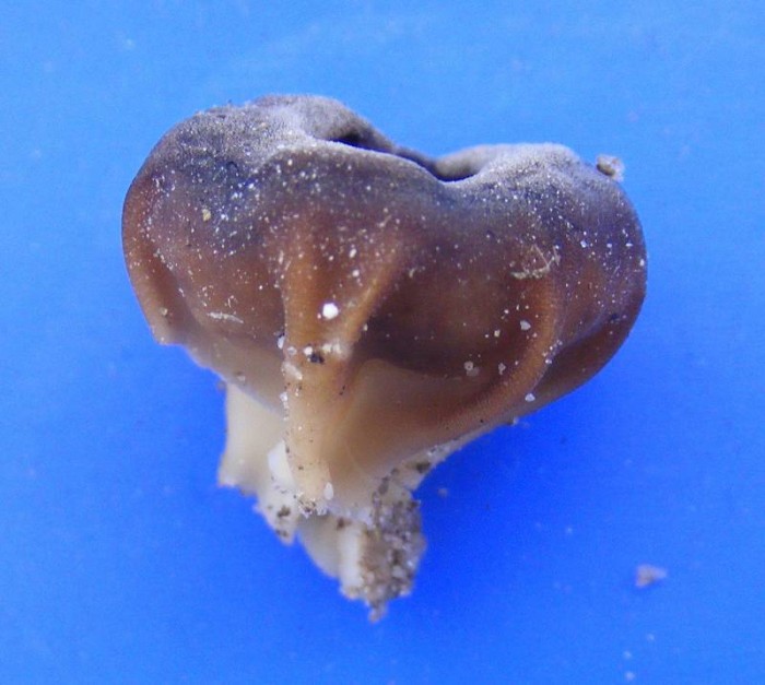 2009_0102essai0040.JPG