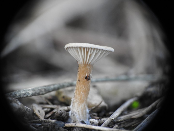 DSCN3271.JPG