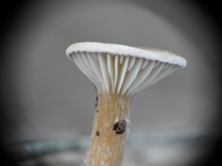 DSCN3299.JPG