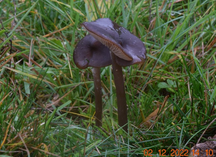 DSC_3139.JPG