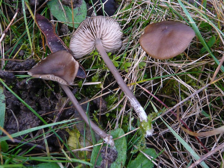 P1040114web.jpg