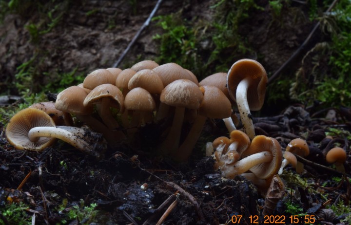 DSC_3144.JPG