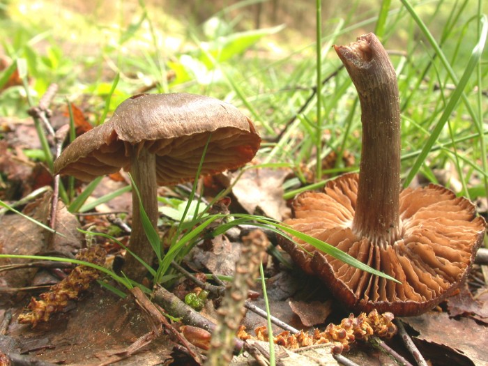 DSCN4082.JPG