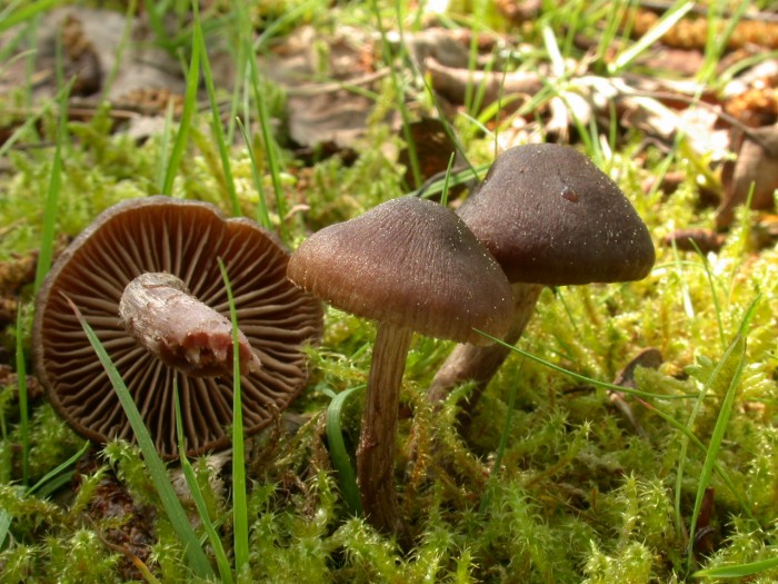 DSCN4079.JPG