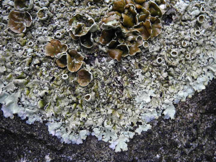 DSCN4338.JPG