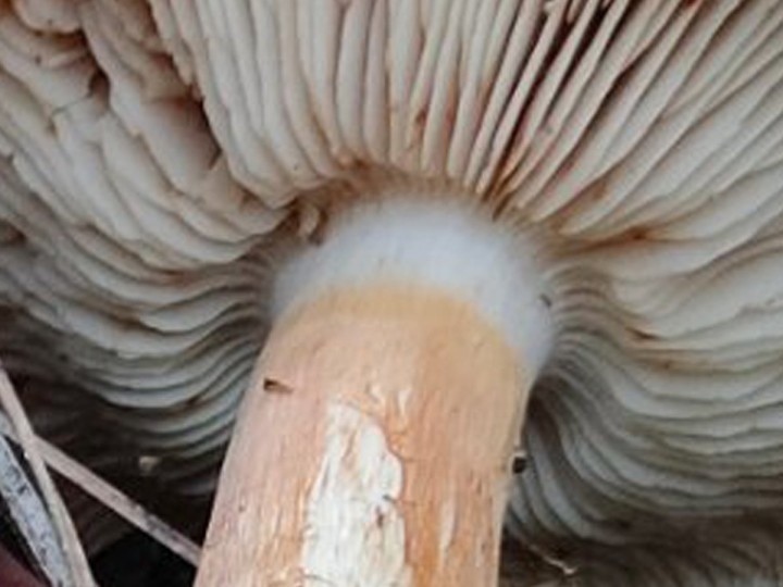 IMG20221220143306.jpg