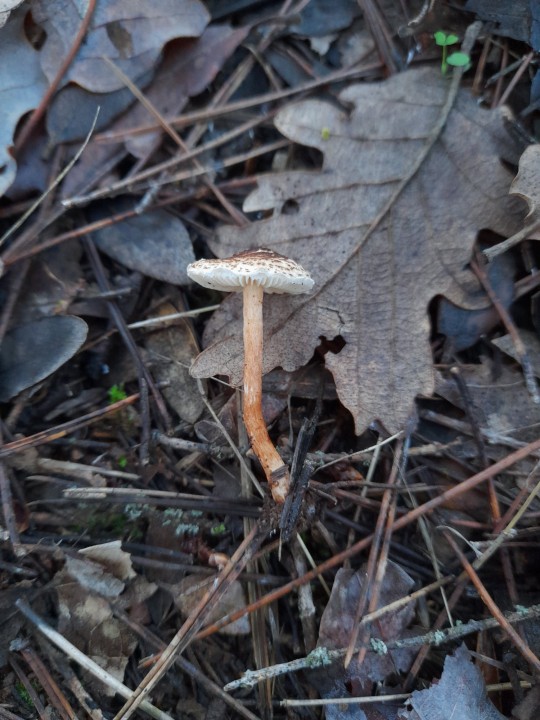 20221222_160441.jpg