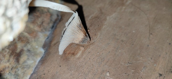 IMG20221228143042.jpg