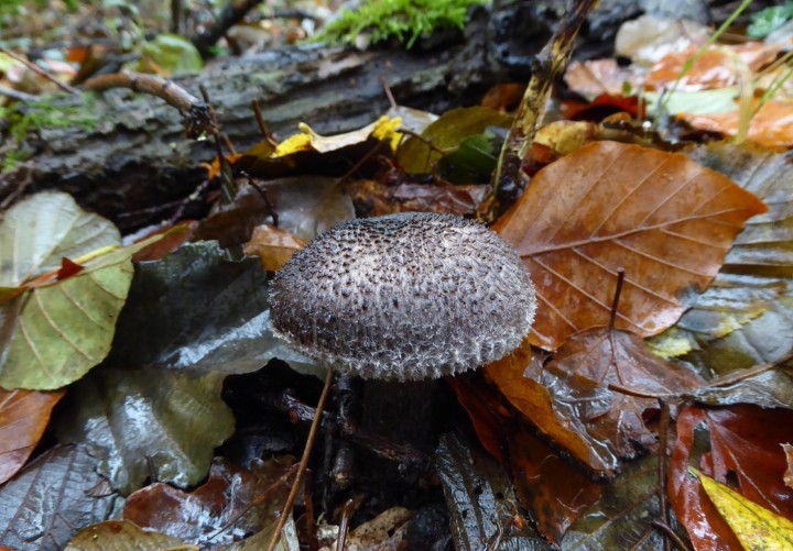 P1120374.JPG
