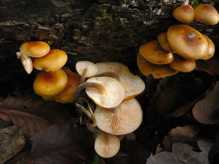 P1080457.JPG