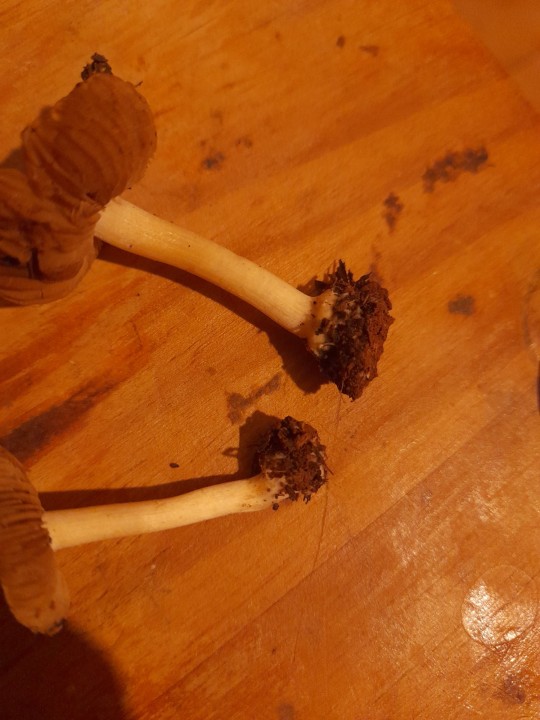 20221224_172500.jpg