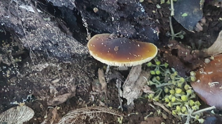 20221015_164616.jpg