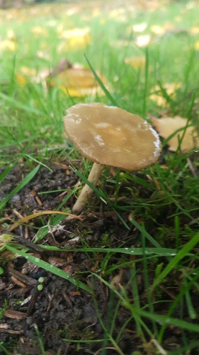 20221117_131736.jpg