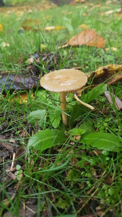 20221117_131726.jpg