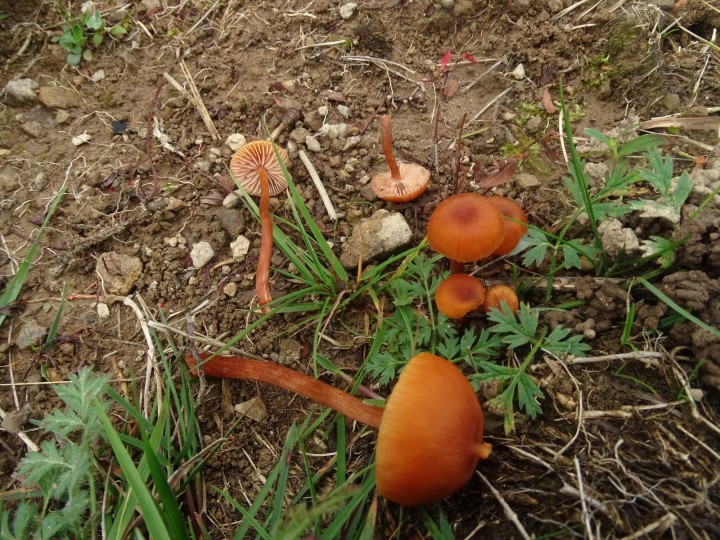 DSC04222.JPG