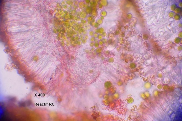 photo 2.JPG