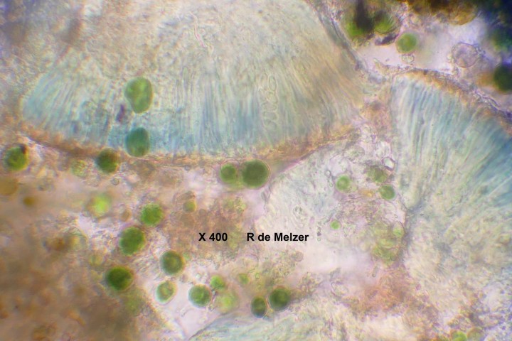Photo 2.JPG