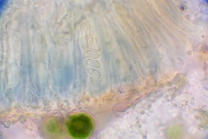 Photo 3.JPG