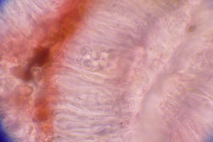 Photo 4.JPG