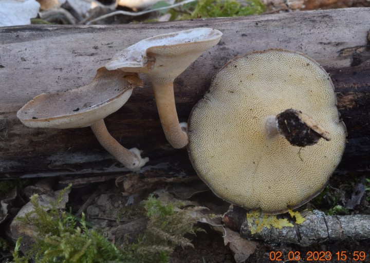 DSC_3213.JPG
