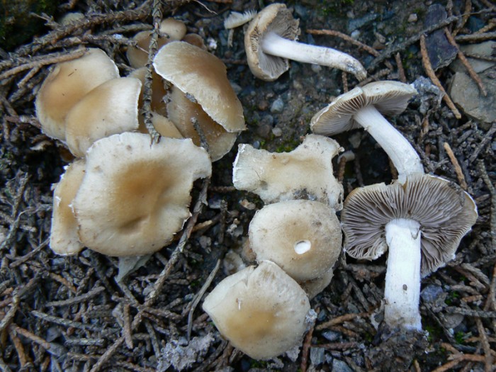 P1120452.jpg