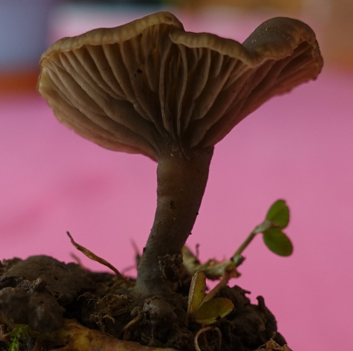 DSC00052.JPG