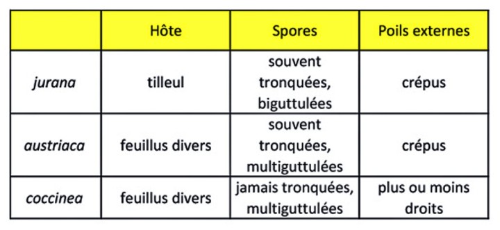 Cliquer sur l'image pour agrandir
