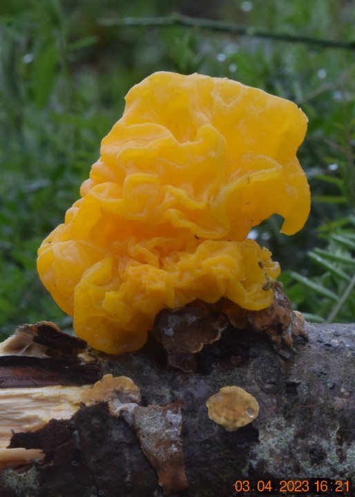 DSC_3243.JPG
