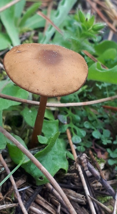 20230417_222841.jpg
