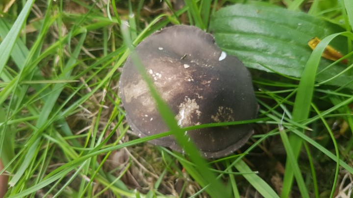 20230504_123820.jpg