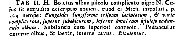 Sans titre.png