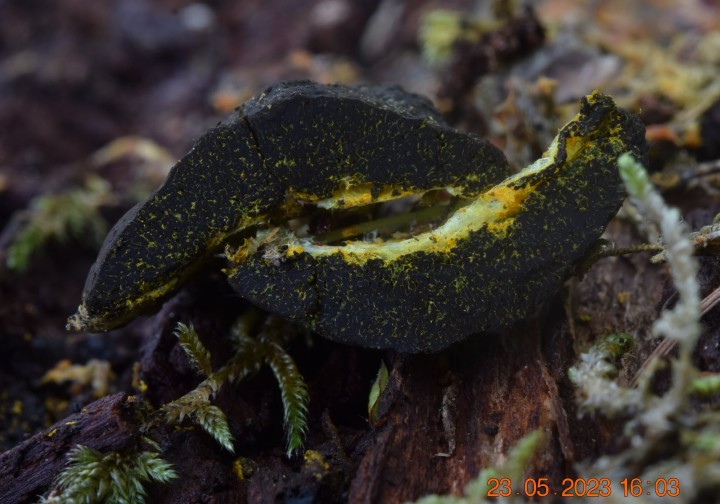 DSC_3341.JPG