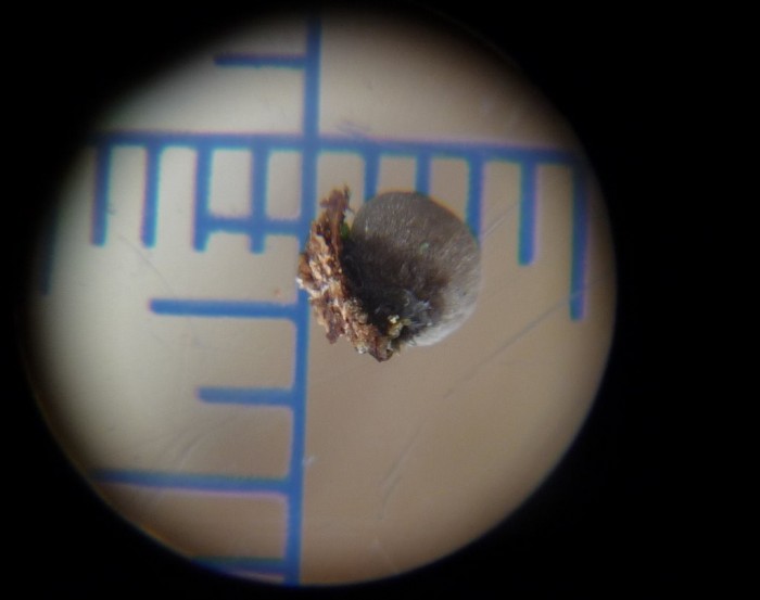 P1010746.JPG