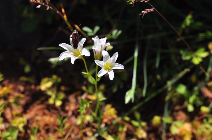 DSC_0006.jpeg